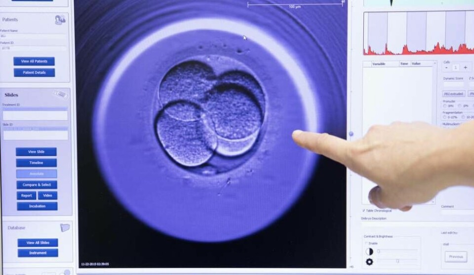 Alla förstår och vet att embryon befruktade in vitro väljs ut och sorteras och förstörs om de inte inplanteras i livmodern för en normalt riskfylld graviditet. Alternativt kan de reserveras för forskning eller frysas ner på obestämd tid. Om de biologiska föräldrarna till frysta embryon oväntat dör, har man också ett olösligt ägandeproblem. Vems är embryot? Foto: Gorm Kallestad/NTB/TT