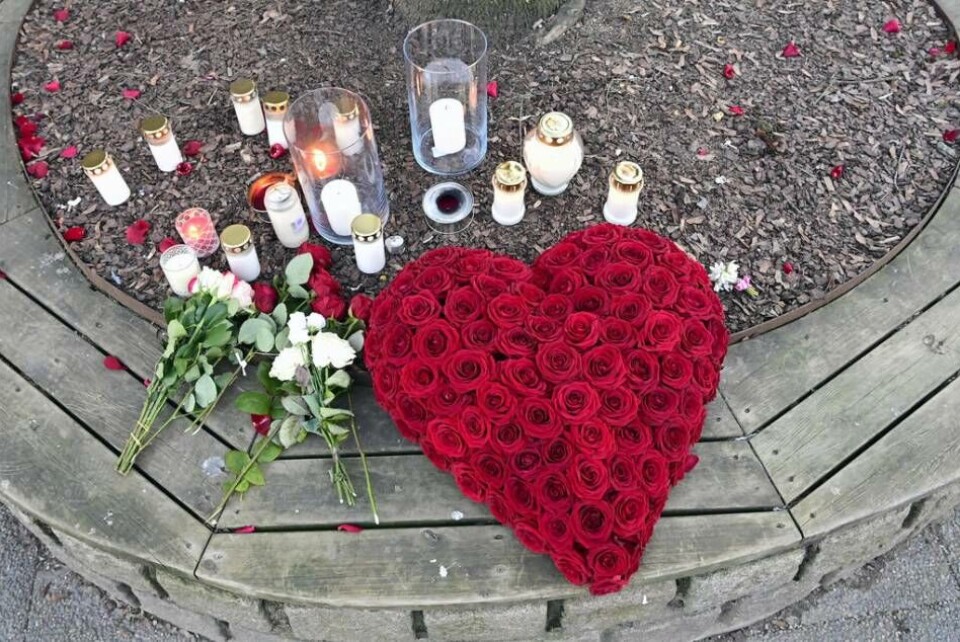 Det Sverige där rädslan inte fanns, är i dag borta, och även statsministern måste inse att rädslan numera finns med i många människors tillvaro, skriver Carin Stenström. Det Sverige där rädslan inte fanns, är i dag borta, och även statsministern måste inse att rädslan numera finns med i många människors tillvaro, skriver Carin Stenström.