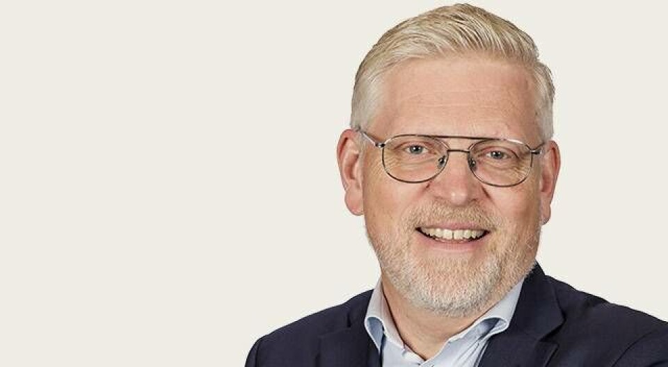 Vad överdrivet plockande av sommarblommor kan lära oss