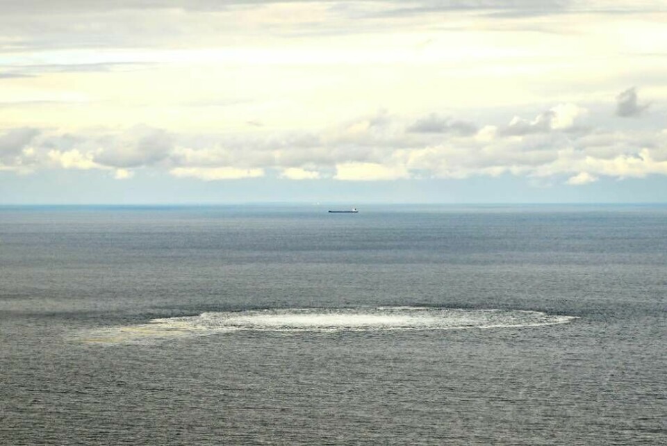 Utredarna av sabotaget mot gasledningen Nord Stream uppges se en mystisk uthyrd segelbåt som intressant i utredningen. Foto: Danska Försvaret/TT