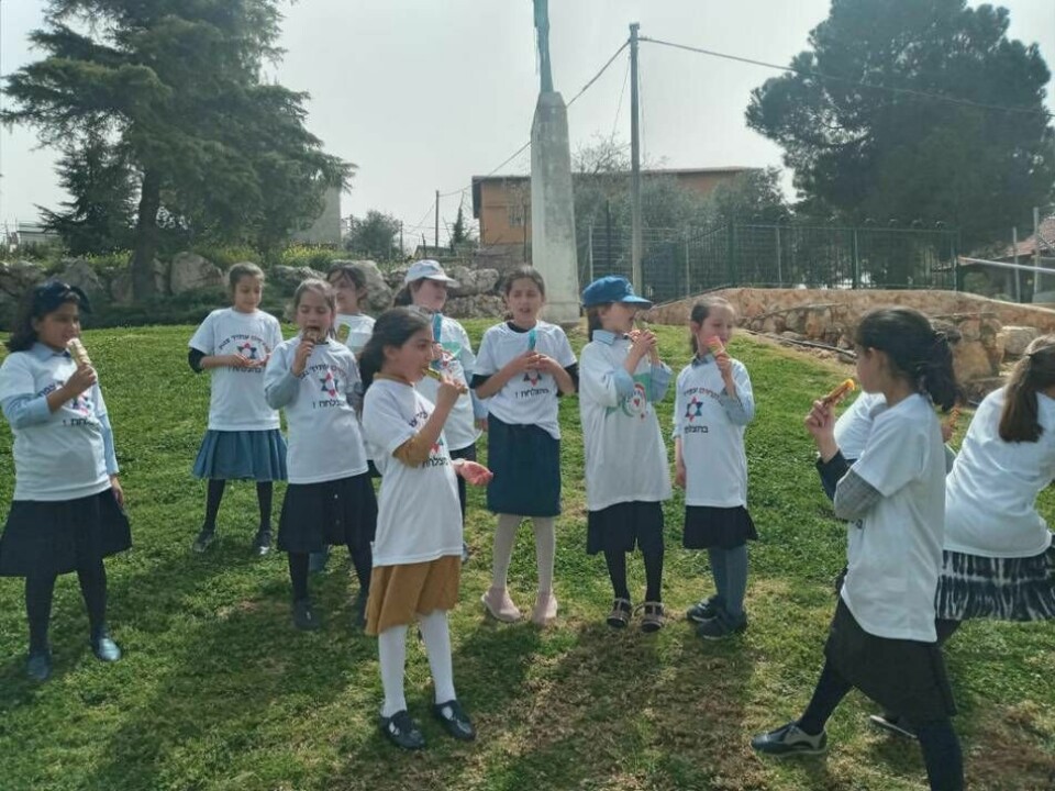 Ibland anordnar mentorerna gruppaktiviteter för de flickor från Bnei Brak som de är mentorer för, i det här fallet är de på utflykt. Foto: Youth Futures