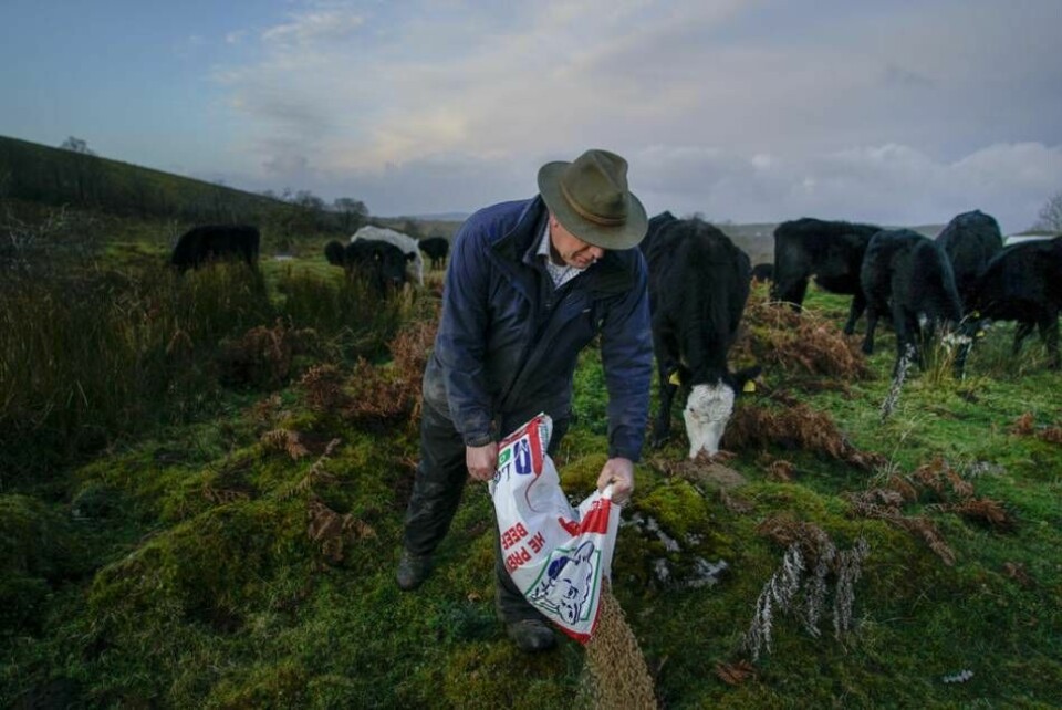 Irländska bönder menar att jordbruk kan tvingas lägga ner ifall politikerna fortsätter att pressa dem med sina klimatmål. På bilden ses dock inte en bonde från Irland, utan från Nordirland. Foto: Mstyslav Chernov/AP/TT
