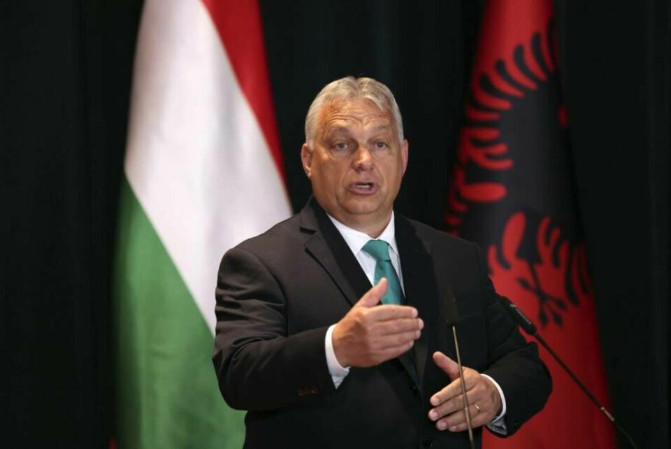 Ulf Kristersson (M) har fått löften från Ungerns president Viktor Orbán. Foto: Franc Zhurda/AP/TT