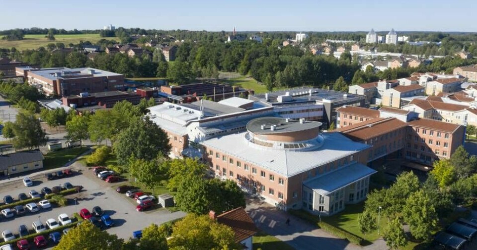 Linnéuniversitetet i Växjö kritiseras efter att de som kriterie för att söka en professortjänst satt upp att man bland annat ska arbeta med normkritik. Foto: Fredrik Sandberg/TT