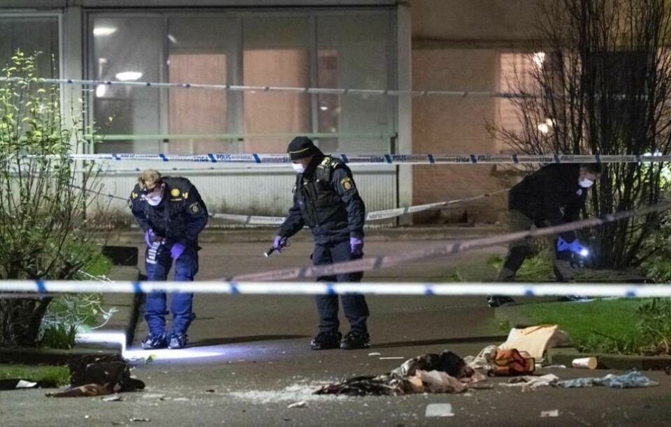 Minst 366 skjutningar där någon dog eller skadades ägde rum i Sverige förra året. På bilden ses kriminaltekniker som arbetar efter en skjutning i Malmö i november förra året. Foto: Johan Nilsson/TT