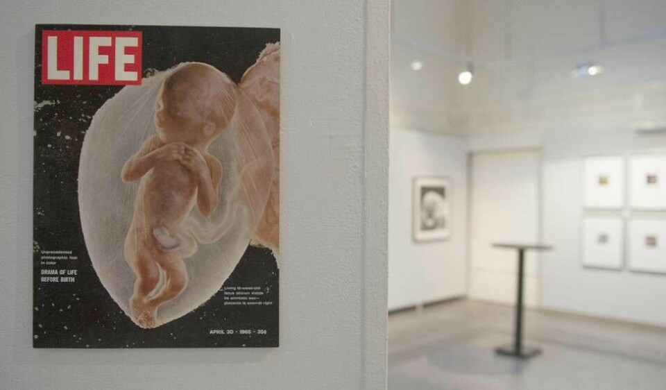 1965 prydde Lennart Nilssons banbrytande fotografi av ett ofött barn i vecka 18 omslaget till Life Magazine. Bilden är från en utställning på Galleri Kontrast i Stockholm.