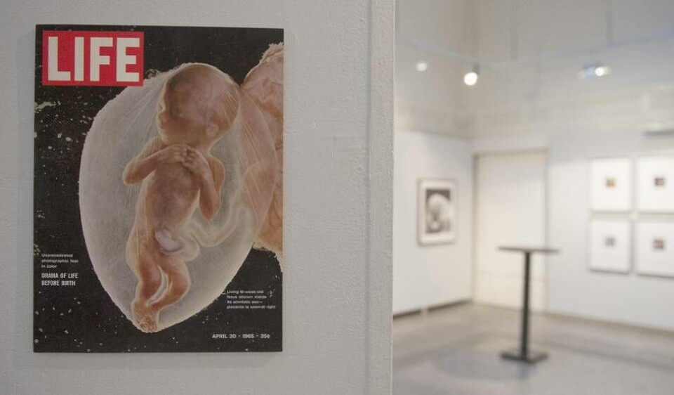 1965 prydde Lennart Nilssons banbrytande fotografi av ett ofött barn i vecka 18 omslaget till Life Magazine. Bilden är från en utställning på Galleri Kontrast i Stockholm. 1965 prydde Lennart Nilssons banbrytande fotografi av ett ofött barn i vecka 18 omslaget till Life Magazine. Bilden är från en utställning på Galleri Kontrast i Stockholm.