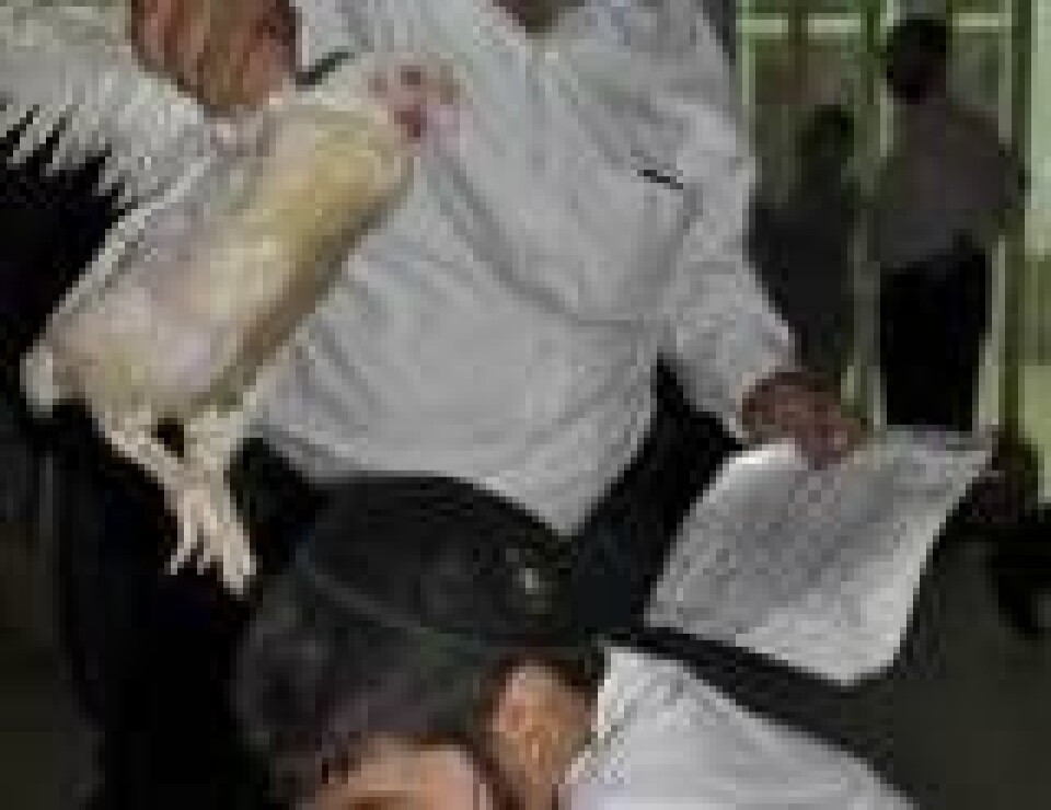 Talabalar yotoqxonada qanday sikishadi Kung fu panda porno komikslar