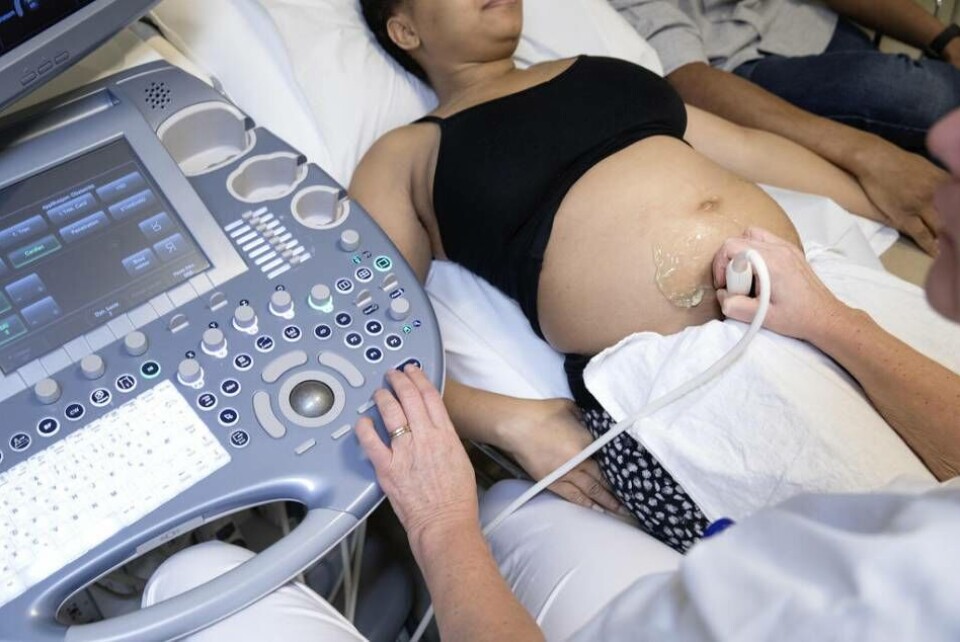 I delstaten New Mexico, med en hög andel spansktalande (hispanics), har det styrande Demokratiska partiets lagstiftat om att det ofödda barnets liv inte skall skyddas, skriver Lennart Sacrédeus som exempel på delstater med extremt liberala abortlagar. I delstaten New Mexico, med en hög andel spansktalande (hispanics), har det styrande Demokratiska partiets lagstiftat om att det ofödda barnets liv inte skall skyddas, skriver Lennart Sacrédeus som exempel på delstater med extremt liberala abortlagar.
