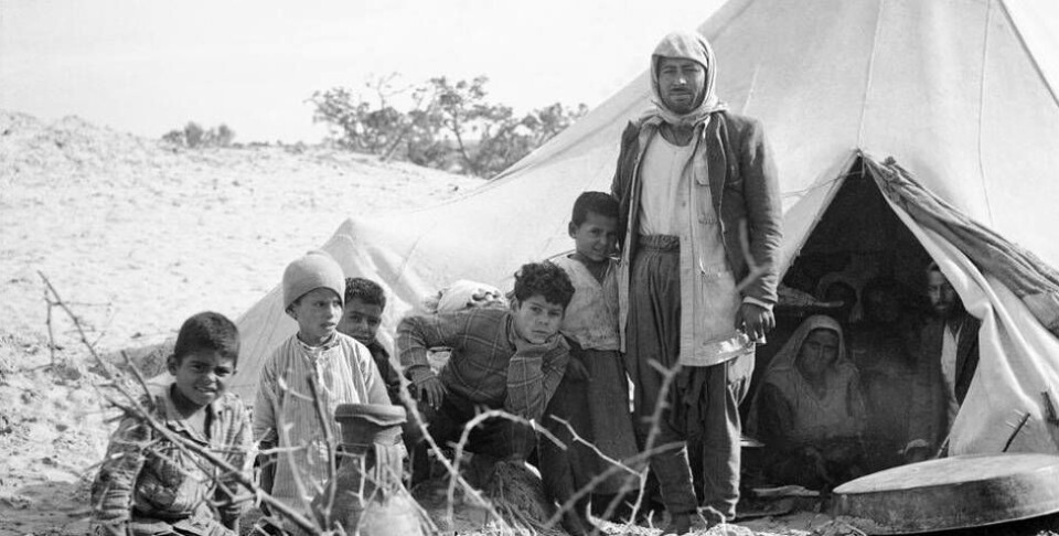 FN:s flyktingsiffra från 1949 är problematisk av flera orsaker, såsom att många var oregistrerade ”invandrare” med hemorter på annan plats eller att många registrerade sig i flera flyktingläger för att få fler matransoner, skriver Christina Toledano Åsbrink. (De arabiska flyktingarna på bilden har inget med påståendet att göra.) FN:s flyktingsiffra från 1949 är problematisk av flera orsaker, såsom att många var oregistrerade ”invandrare” med hemorter på annan plats eller att många registrerade sig i flera flyktingläger för att få fler matransoner, skriver Christina Toledano Åsbrink. (De arabiska flyktingarna på bilden har inget med påståendet att göra.)