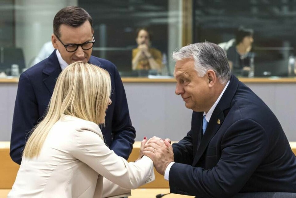 Premiärminister Giorgia Meloni från Italien skakar hand med Ungerns Viktor Orbán, under översyn av Mateusz Morawiecki från Polen vid EU-toppmötet i Bryssel.