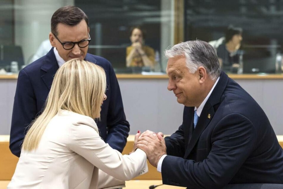 Premiärminister Giorgia Meloni från Italien skakar hand med Ungerns Viktor Orbán, under översyn av Mateusz Morawiecki från Polen vid EU-toppmötet i Bryssel. Premiärminister Giorgia Meloni från Italien skakar hand med Ungerns Viktor Orbán, under översyn av Mateusz Morawiecki från Polen vid EU-toppmötet i Bryssel.