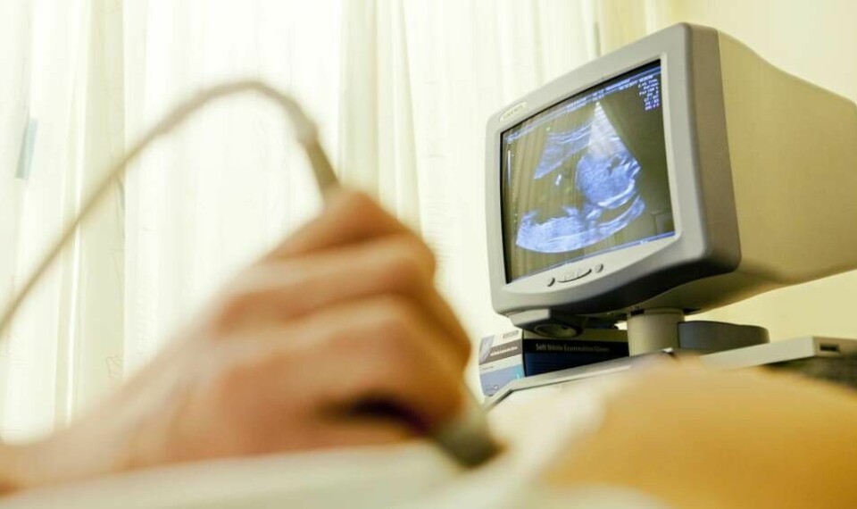 De danska partierna är splittrade när det gäller frågan om vid vilken graviditetsvecka foster ska skyddas.