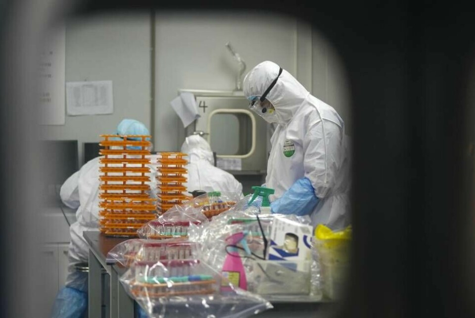 Exakt hur coronaviruset fick spridning är oklart. På bilden ses forskare på ett laboratorium i Wuhan där man nu forskar om Corona.