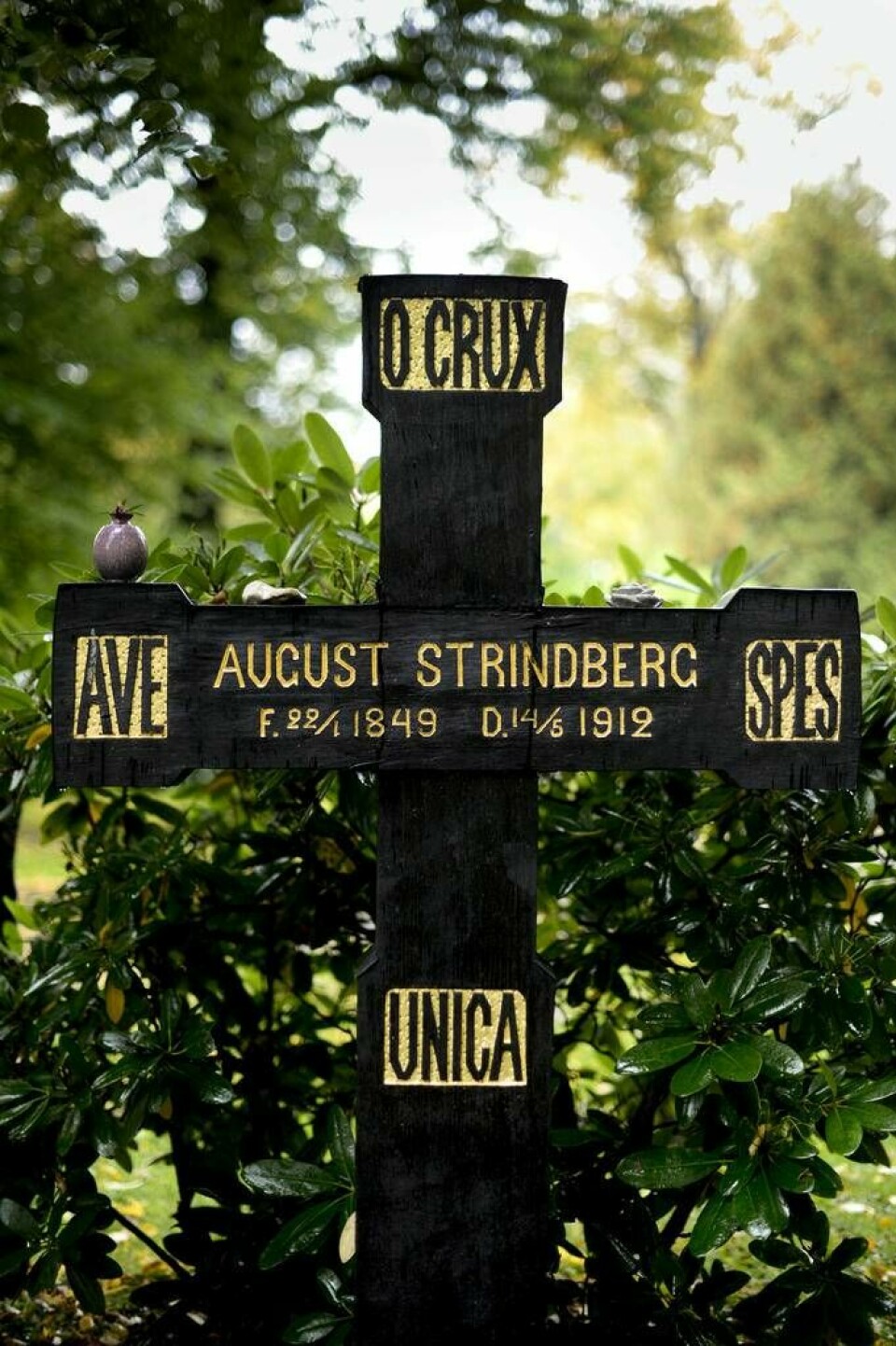 Författaren August Strindbergs grav på Norra begravningsplatsen i Solna. På korset står det: Var hälsad kors, mitt enda hopp. Foto: Pontus Lundahl / TT
