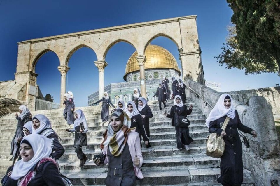 Tempelberget i Jerusalem. Klippdomen i bakgrunden. Tempelberget i Jerusalem. Klippdomen i bakgrunden.