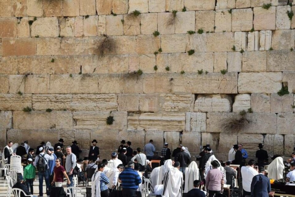 Kollektiv bön vid Västra muren i Jerusalem. Kollektiv bön vid Västra muren i Jerusalem.