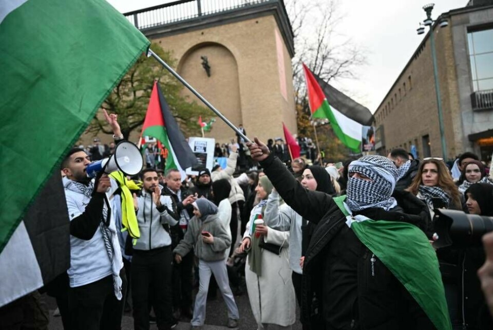 I Göteborg hissade demonstranter den palestinska flaggan utanför stadshuset. Foto: Björn Larsson Rosvall/TT