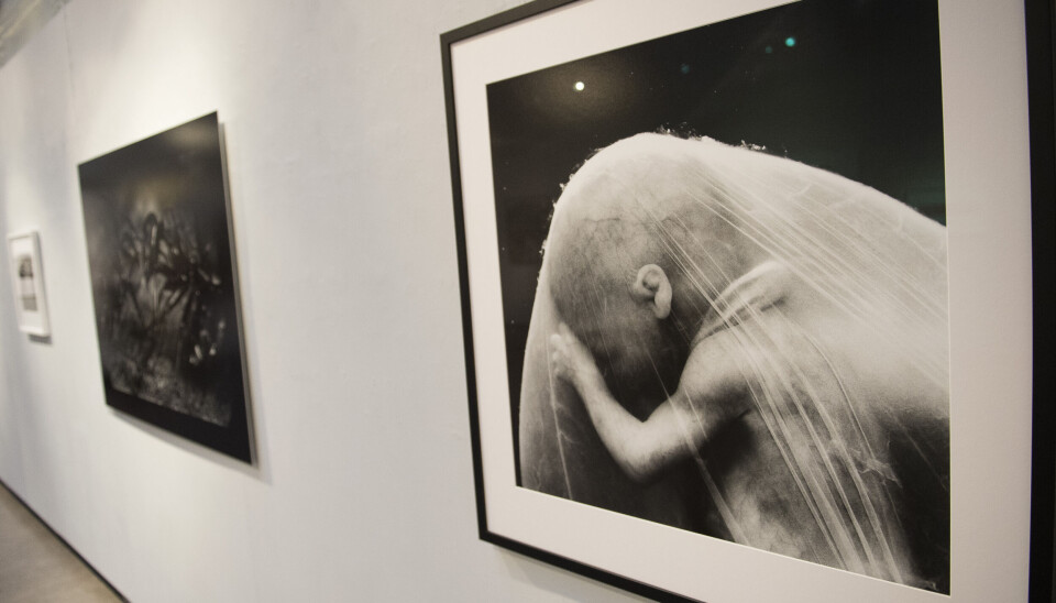 Fotografen Lennart Nilsson bilder om ett ofött barns utveckling, som här syns vid en konstutställning, ligger till grund för prolife-organisationen Människovärdes kalender fram till jul. Lennart Nilsson
