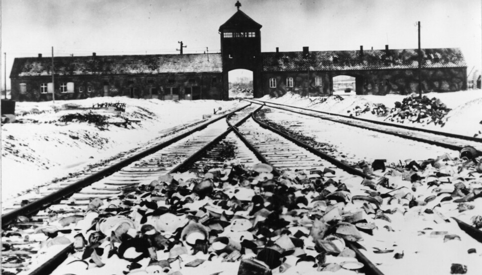Järnvägsspår som leder fram till Auschwitz-Birkenau.