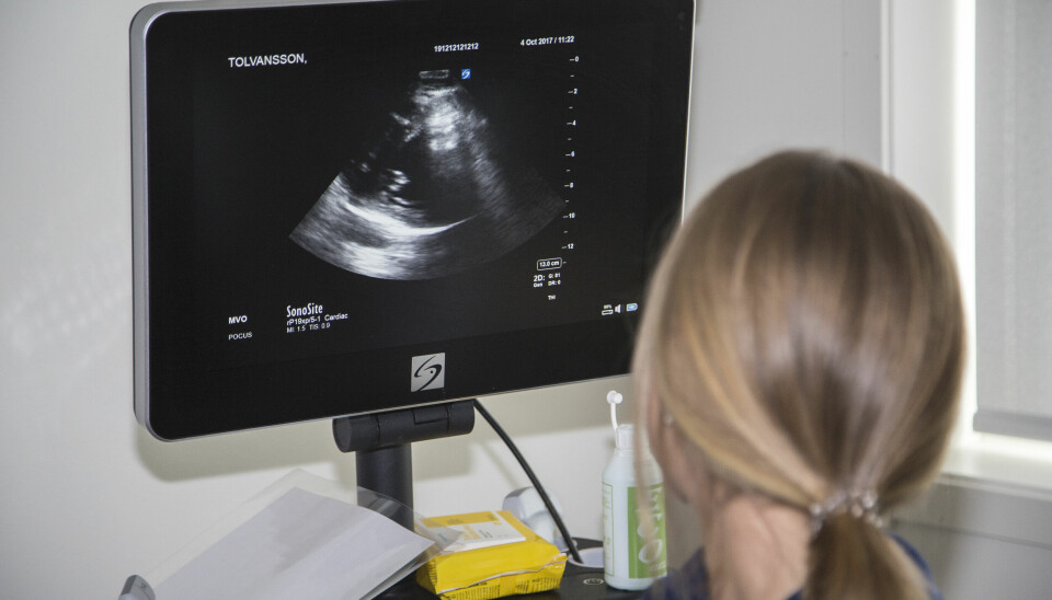 Sjuksköterska tittar på skärm som visar ultraljud på St Görans sjukhus i Stockholm.