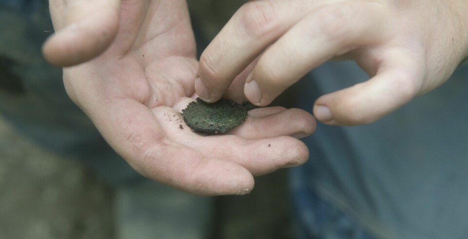 En personer håller i ett jordigt gammalt mynt.