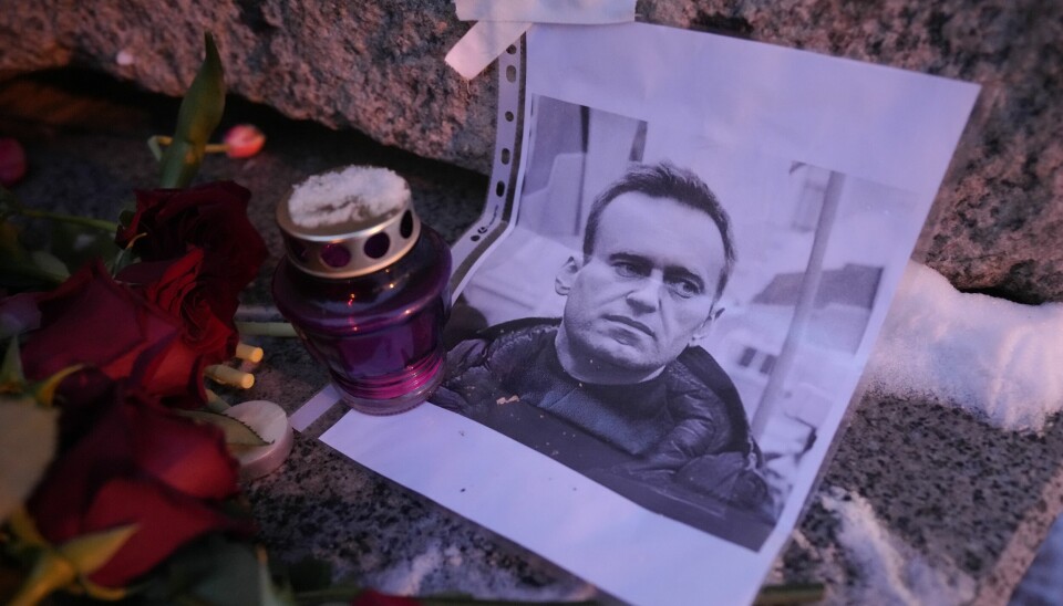 Ett porträtt på Aleksej Navalnyj ligger bredvid ljus och blommor.