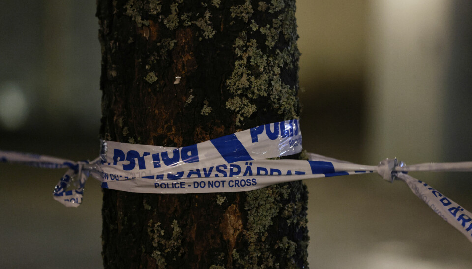 Polisavspärrning på ett träd.