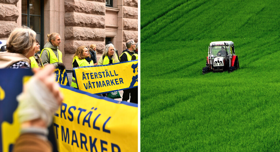 Vi bör fokusera mer på att återställa jordbruksmark som ligger i träda än på att återställa våtmarker, anser gästledarskribenten.
