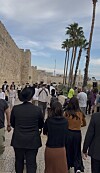Människor och ortodoxa judar promenerar längs Jerusalems historiska stadsmur under palmer.
