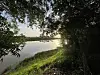 En lugn flod reflekterar solljuset, inramad av mörka lövträd och en solbelyst gräsmatta längs flodbanken.